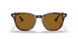 954/33 - Havana - Brown