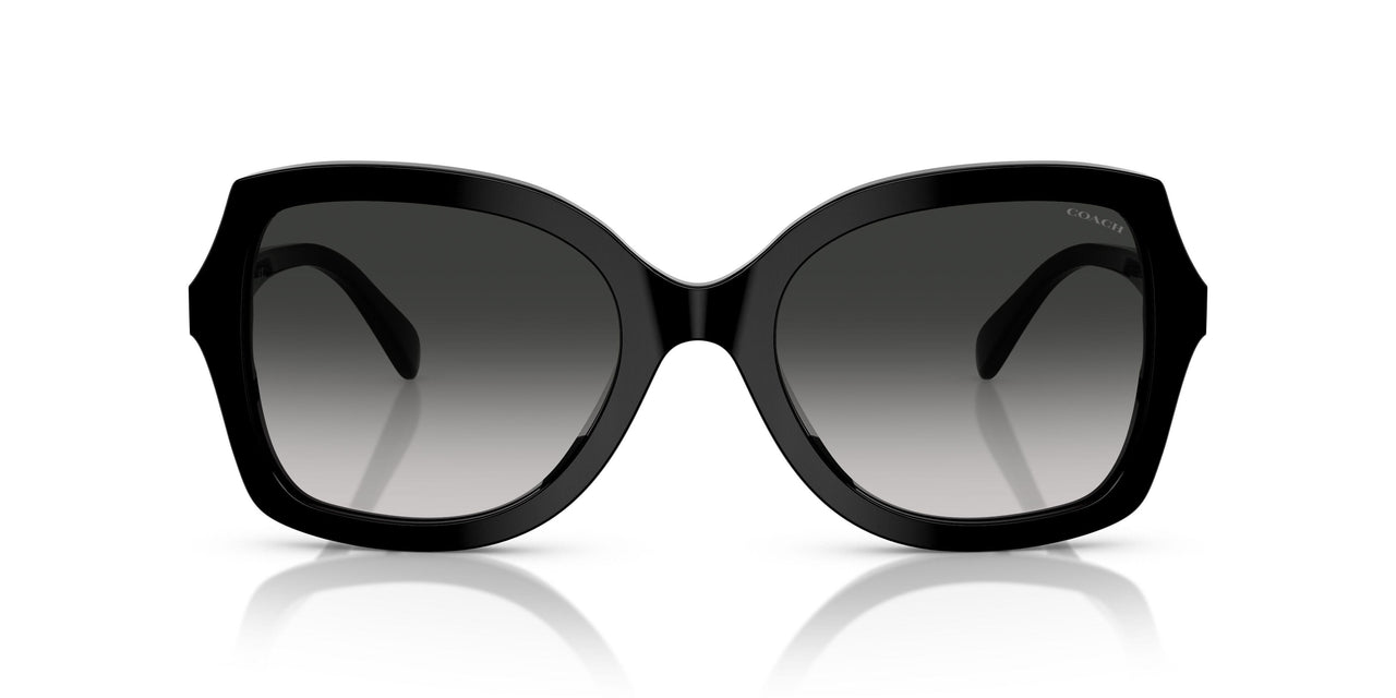 50023C - Black - Grey Gradient