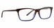 PDT - Paisley Dot