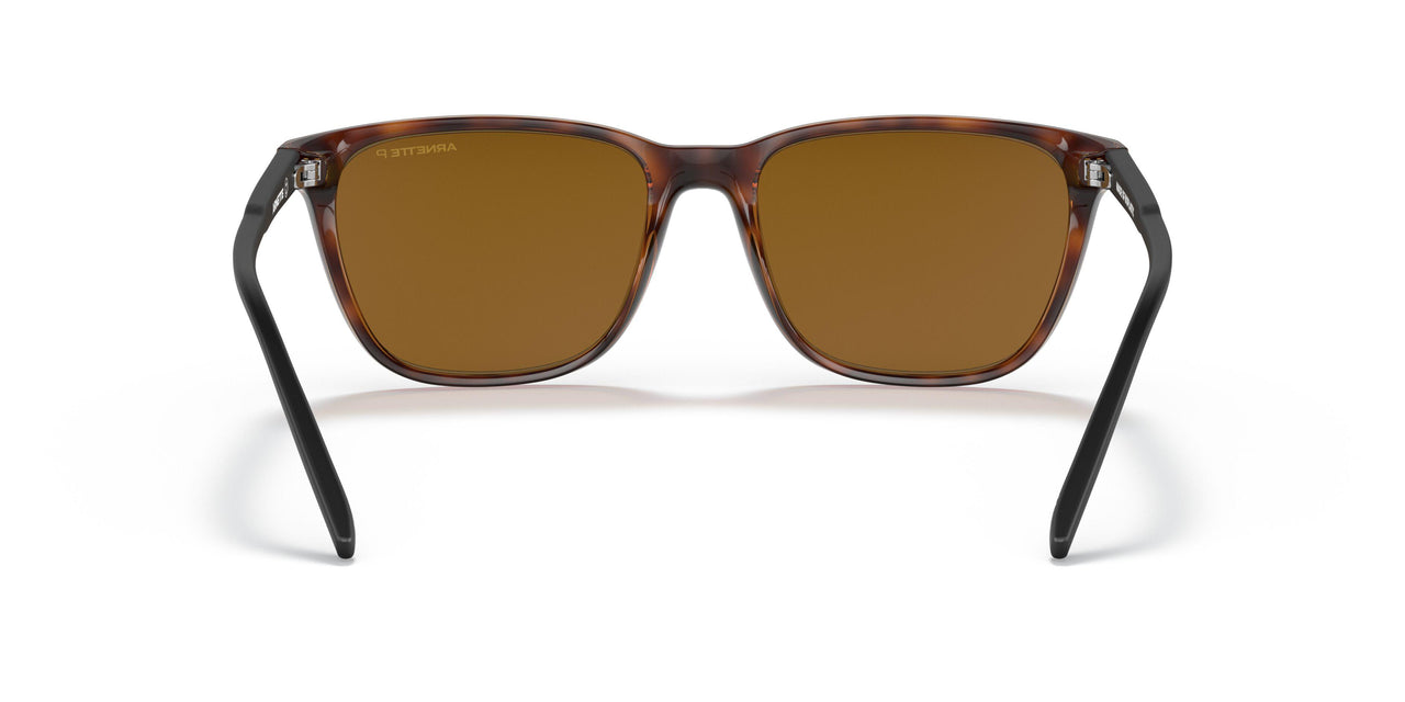 277083 - Havana - Polar Brown
