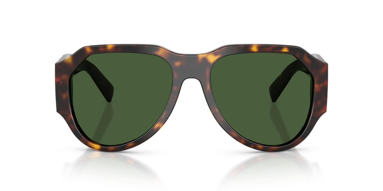 502/71 - Tortoise - Dark Green