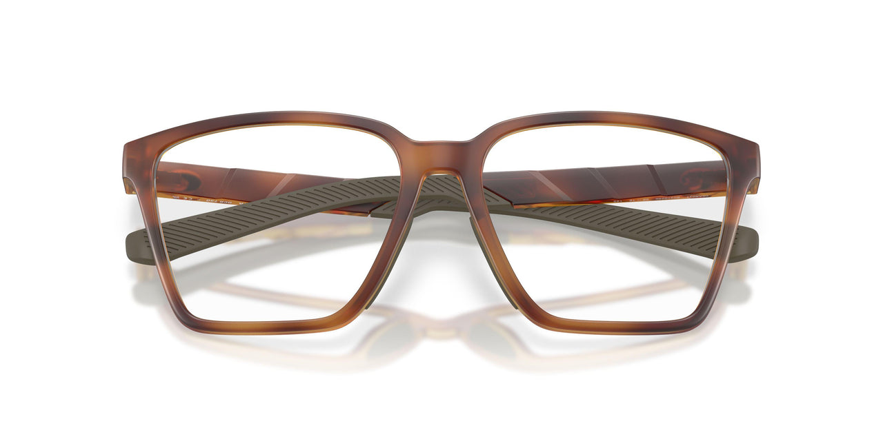 803102 - Tortoise