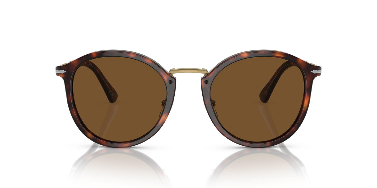24/57 - Tortoise - Polar Brown