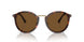 24/57 - Tortoise - Polar Brown