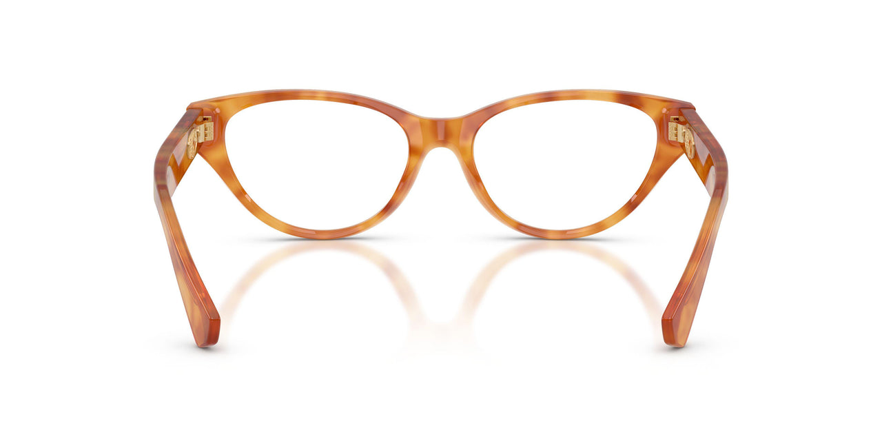 4256 - Tortoise