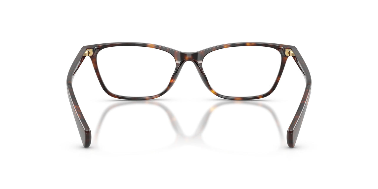5003 - Tortoise