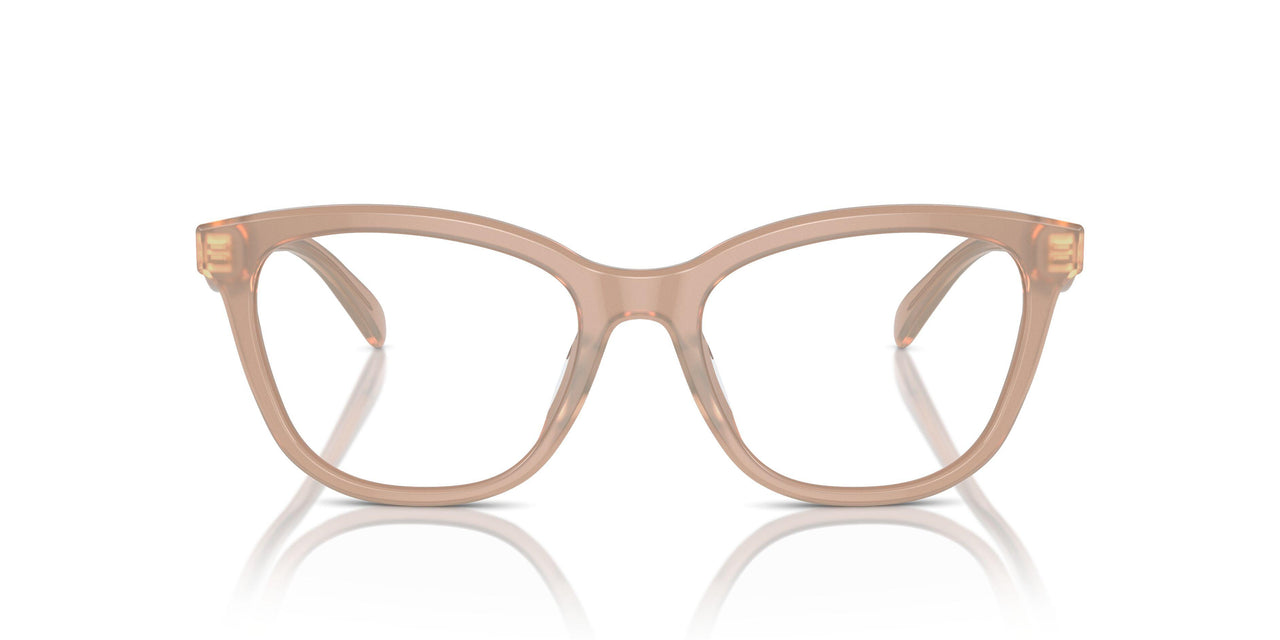 5808 - Brown