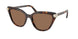 100273 - Tortoise - Dark Brown