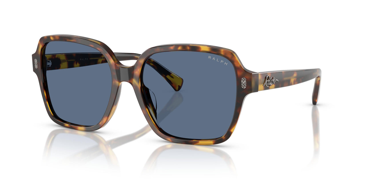 513480 - Tortoise - Dark Blue