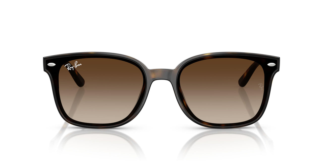 710/13 - Tortoise - Gradient Brown