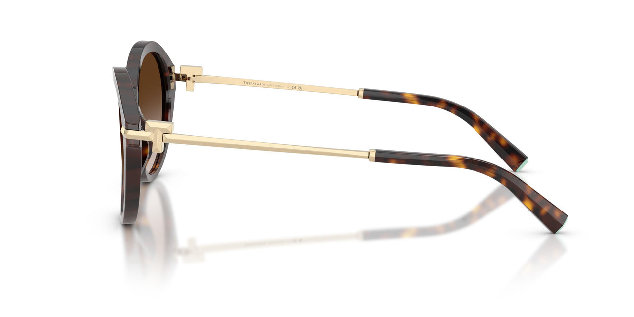 80153B - Tortoise - Brown Gradient
