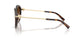 80153B - Tortoise - Brown Gradient