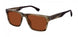 Champion CUELIAS Sunglasses