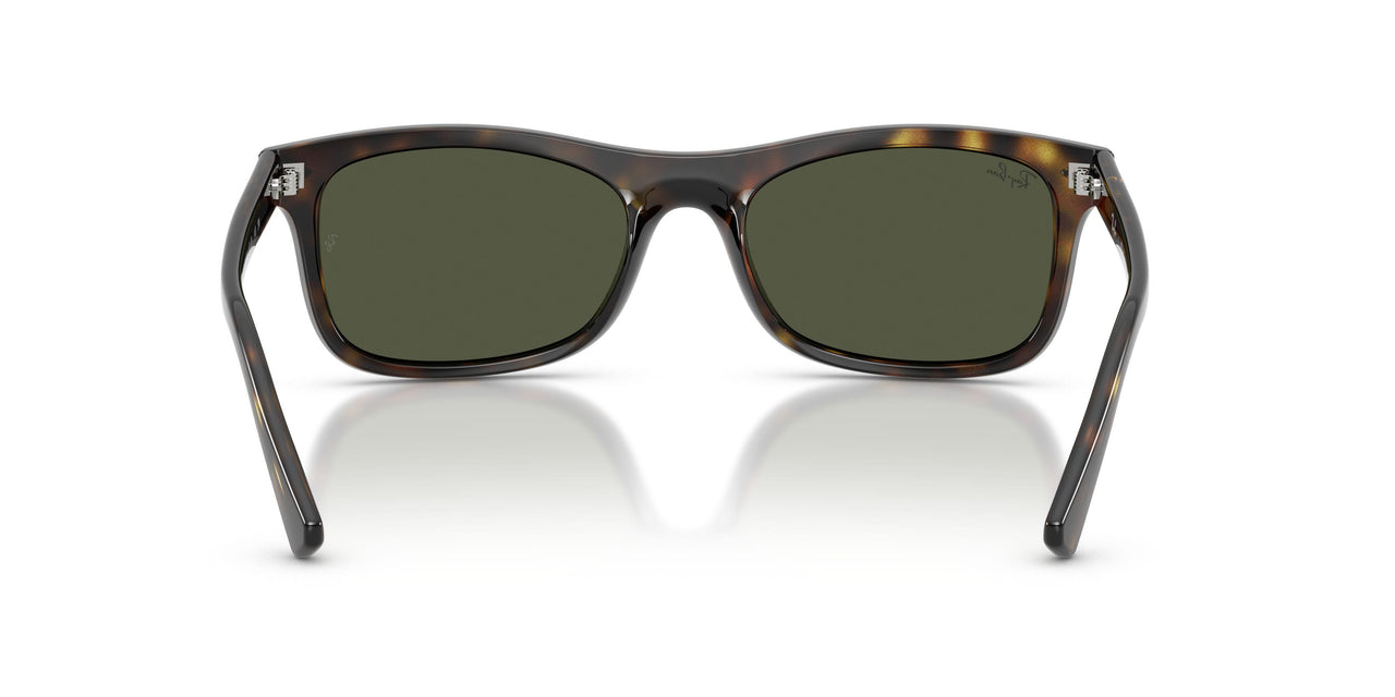 710/31 - Tortoise - Green