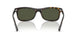 710/31 - Tortoise - Green
