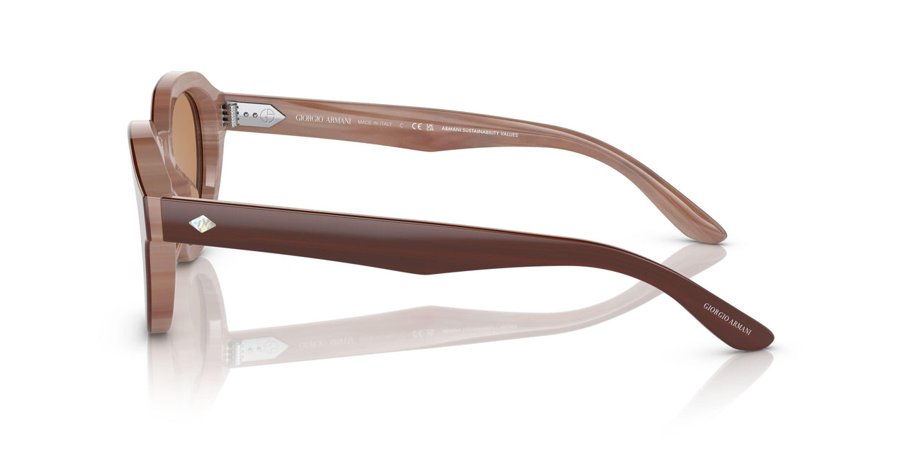 596953 - Brown - Brown