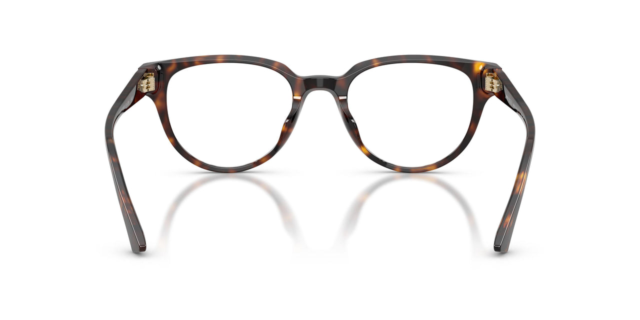 5002 - Tortoise