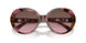 39989T - Tortoise - Cordovan Gradient