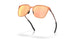 948004 - Brown - Prizm Rose Gold Polarized
