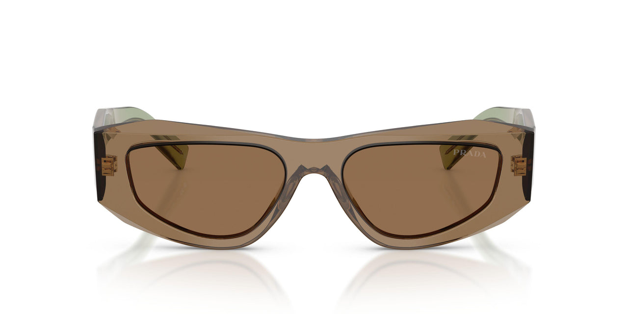 29E90F - Brown - Light Brown