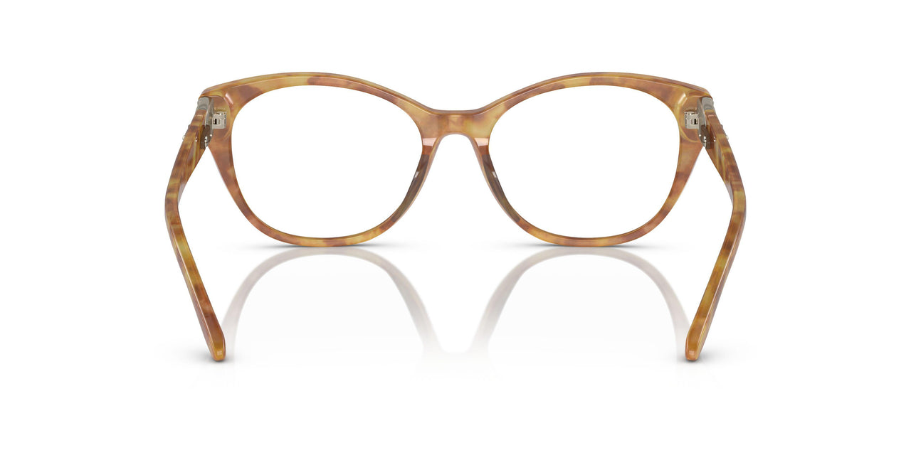 6083 - Tortoise