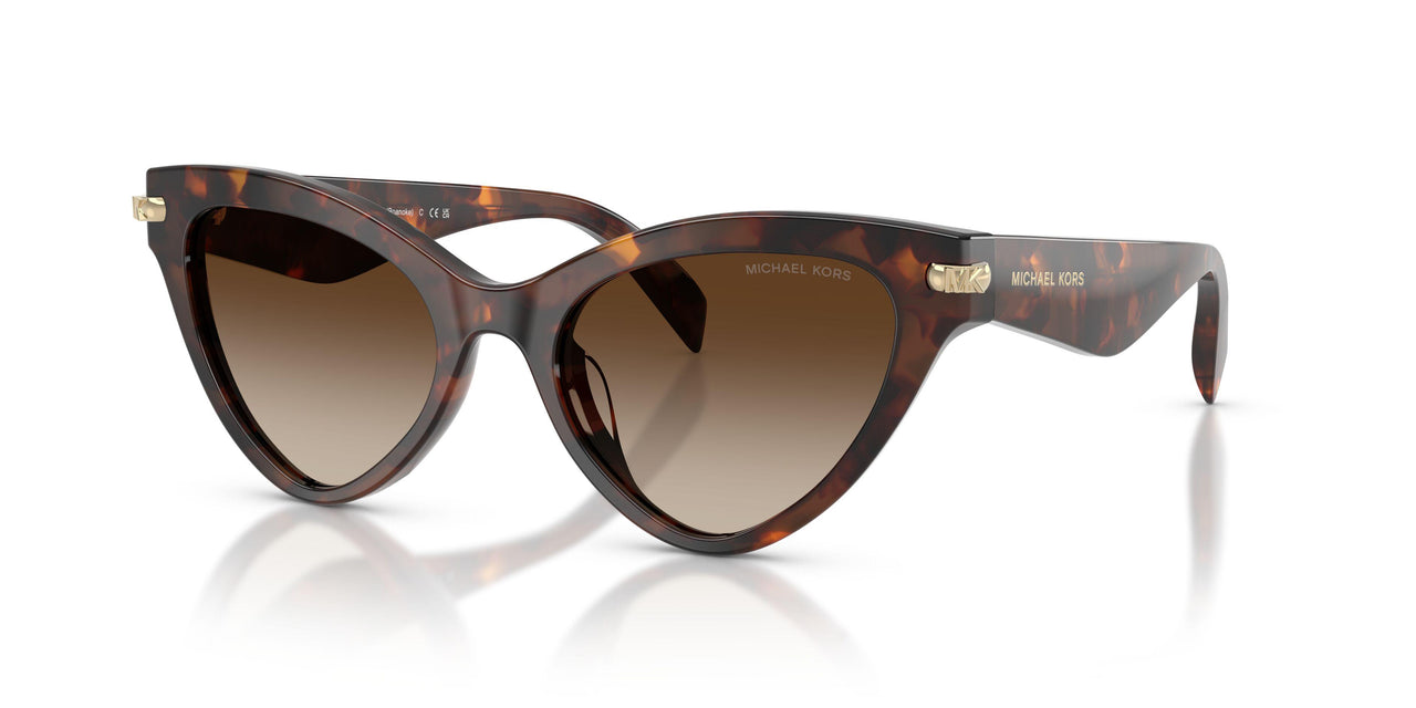 403113 - Tortoise - Smoke Gradient