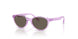 7172/3 - Violet - Brown