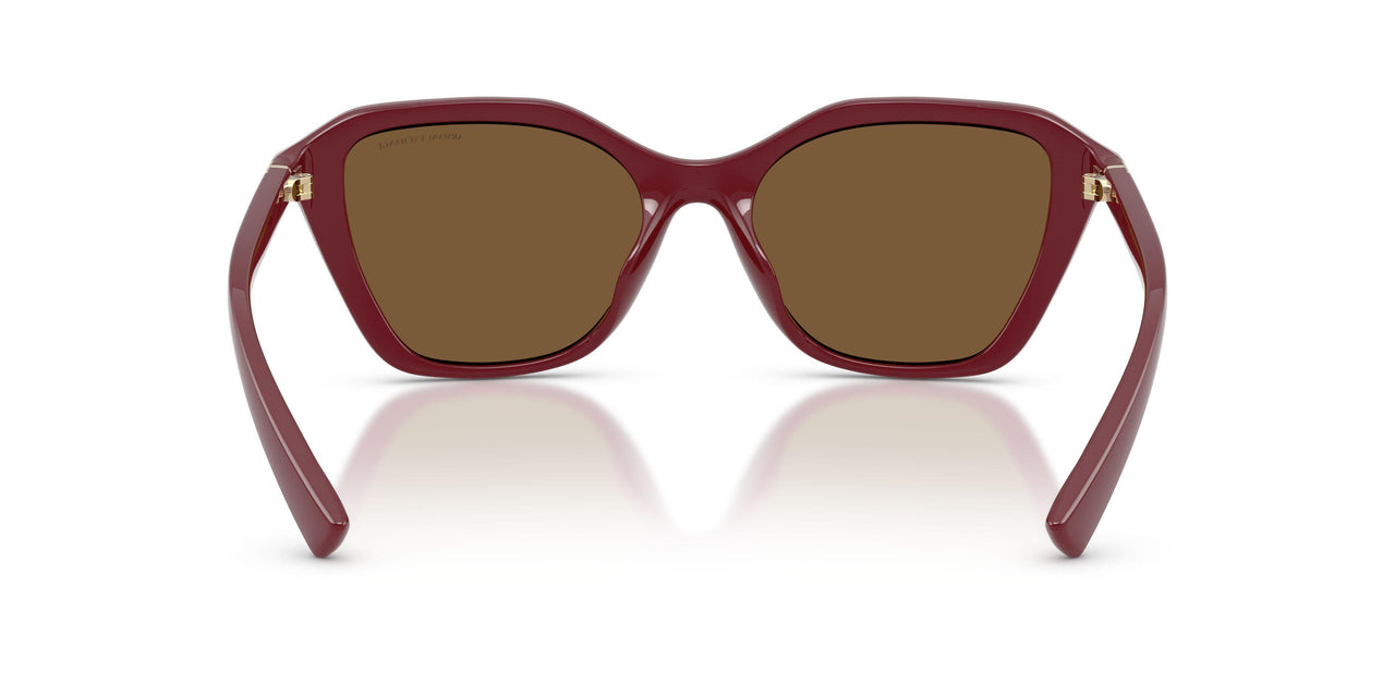 838773 - Red - Brown