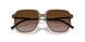 301813 - Brown - Gradient Brown