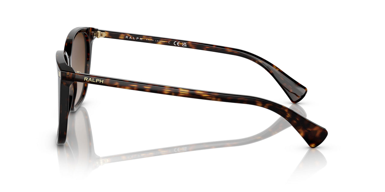 50033B - Havana - Gradient Brown