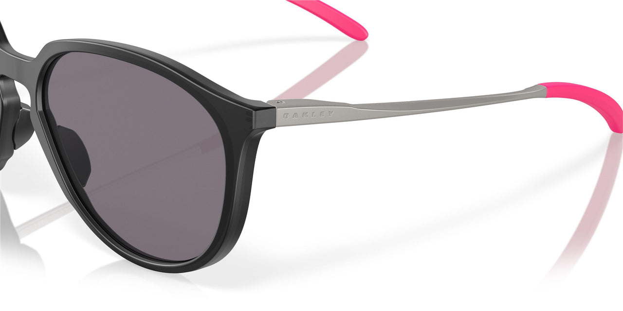 928801 - Black - Prizm Grey Polarized