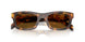 14L10U - Tortoise - Dark Brown Polar