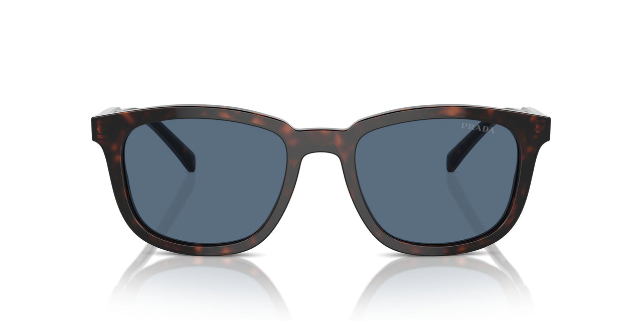 17N06A - Tortoise - Dark Blue