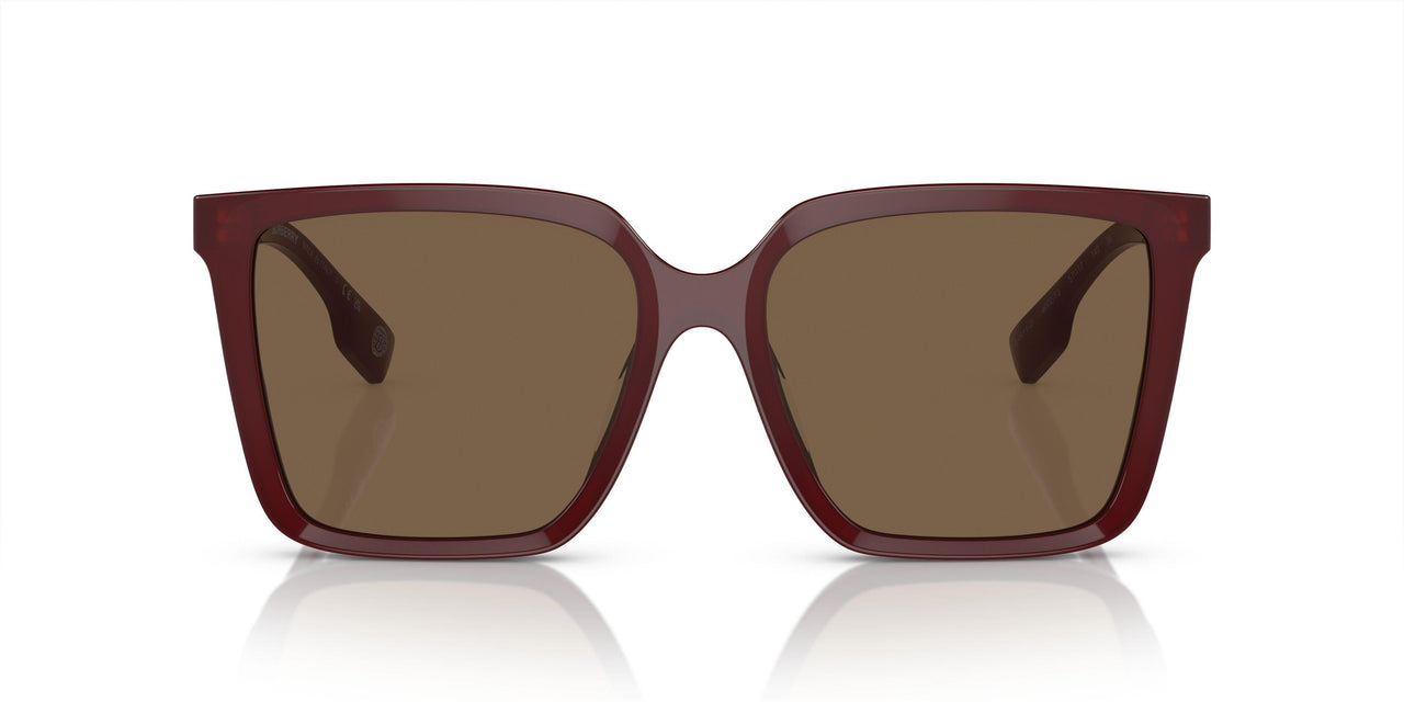 402273 - Red - Dark Brown