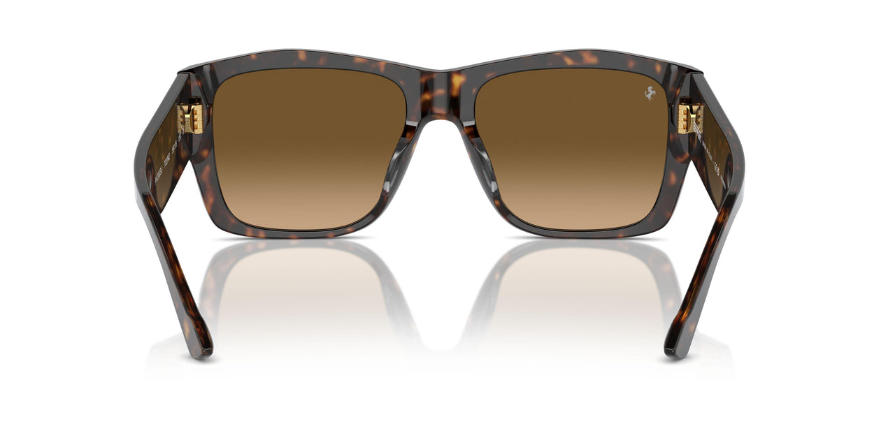 702/M2 - Tortoise - Polarized Brown Gradient