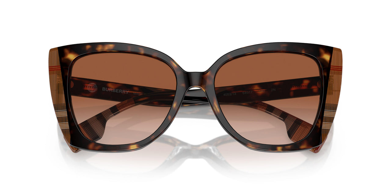 405313 - Brown - Brown Gradient