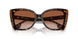 405313 - Brown - Brown Gradient