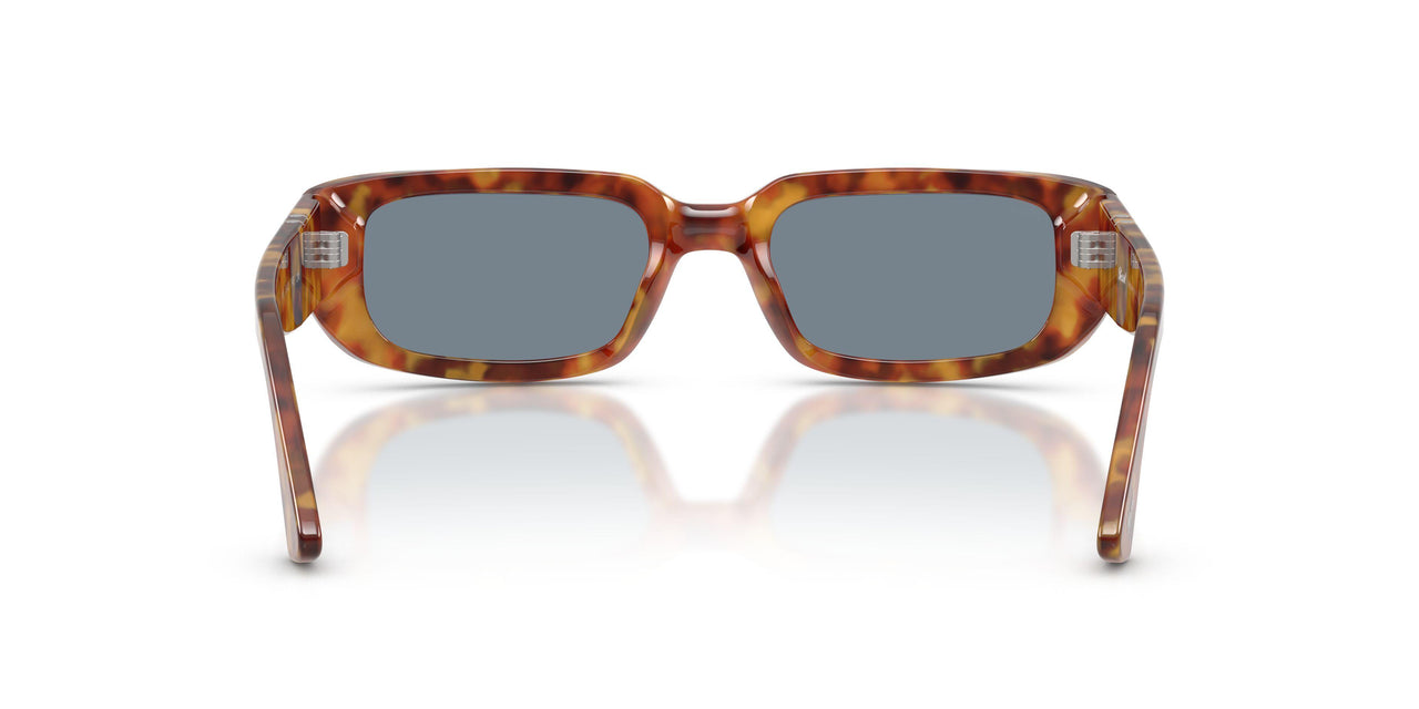 106/56 - Tortoise - Light Blue