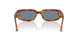 106/56 - Tortoise - Light Blue