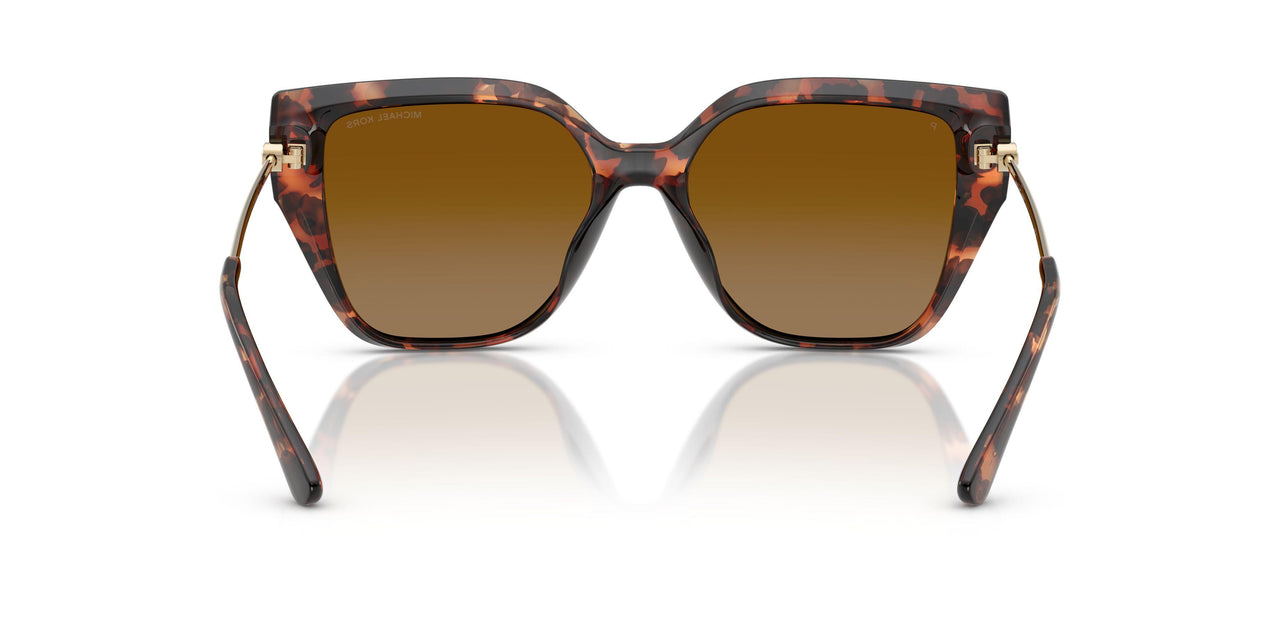 40319P - Tortoise - Brown Polar