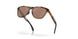928407 - Brown - Prizm Tungsten