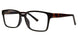 BLCKTRTS - Black/Tortoise