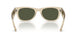 146031 - Beige - Green