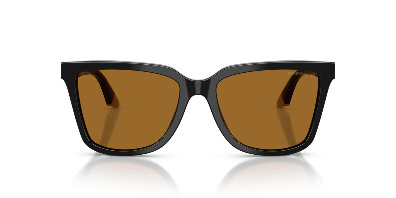 631383 - Black - Polar Brown