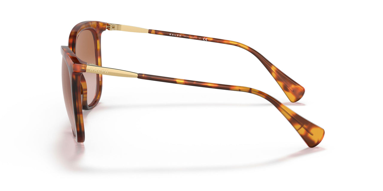 591113 - Havana - Gradient Brown
