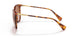 591113 - Havana - Gradient Brown