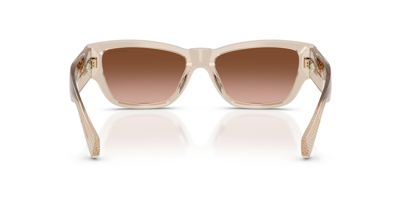 84453B - Brown - Brown Gradient