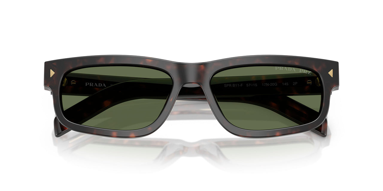 17N20G - Tortoise - Polar Green