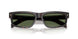 17N20G - Tortoise - Polar Green