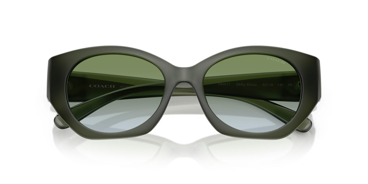584017 - Green - Moss Aqua Gradient